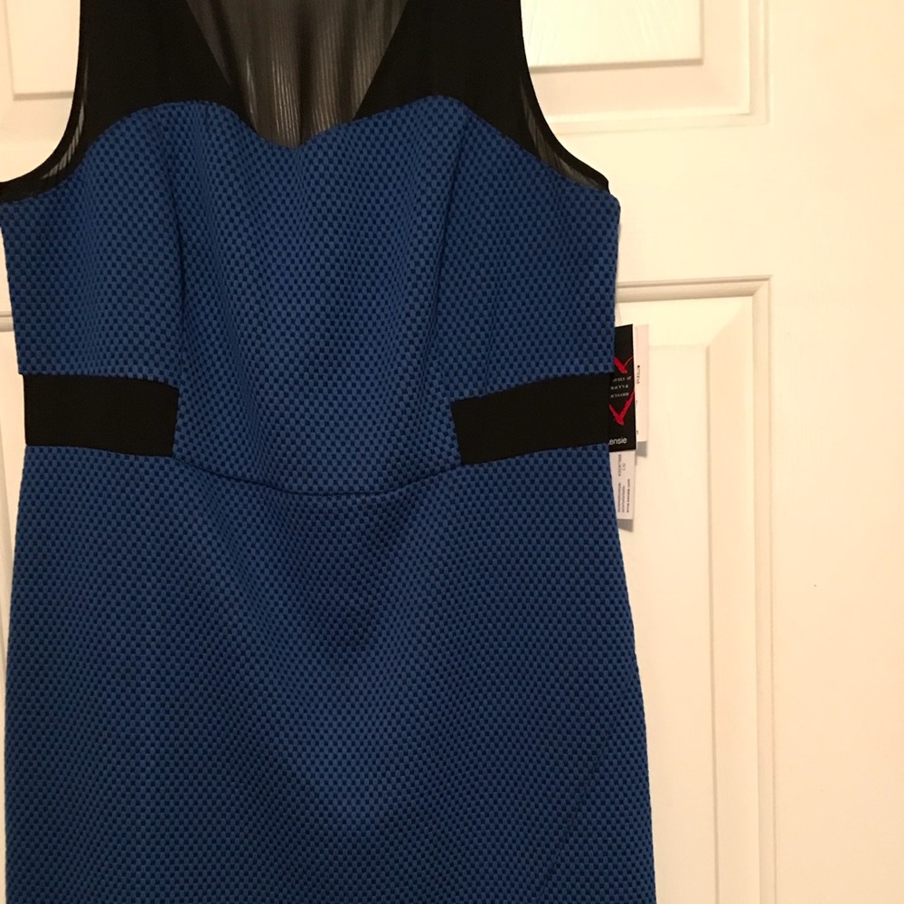 Kenzie sheer top insert dress